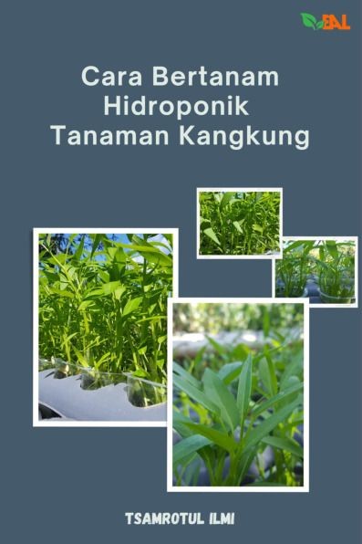 Cara Bertanam Hidroponik Tanaman Kangkung